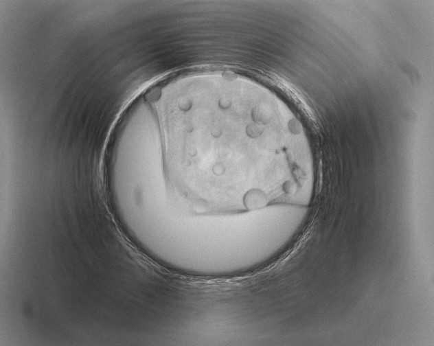 X0000116440876201001051203