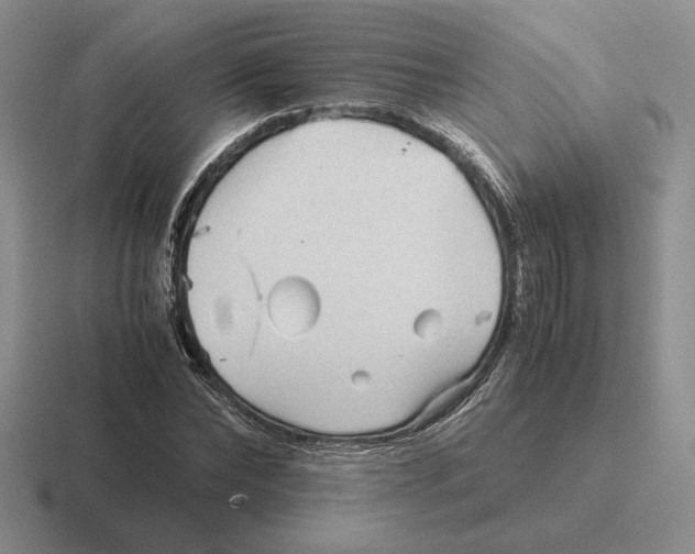 X0000116440878201001051203