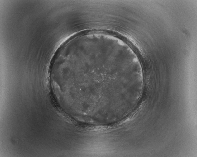 X0000116440879201001051203