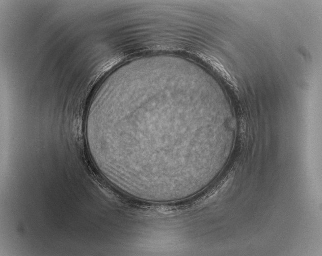 X0000116440881201001051203