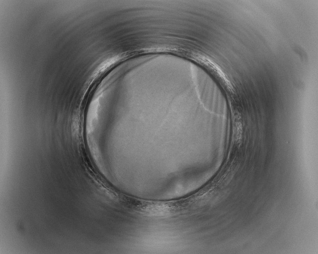 X0000116440882201001051203