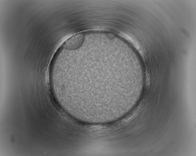 X0000116440883201001051203