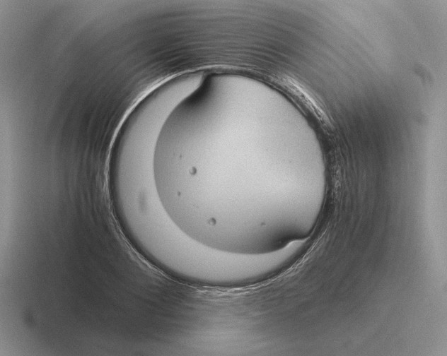 X0000116440884201001051203