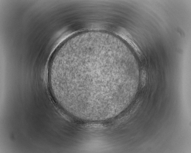 X0000116440886201001051202