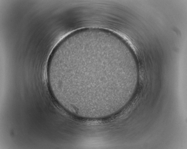 X0000116440887201001051202