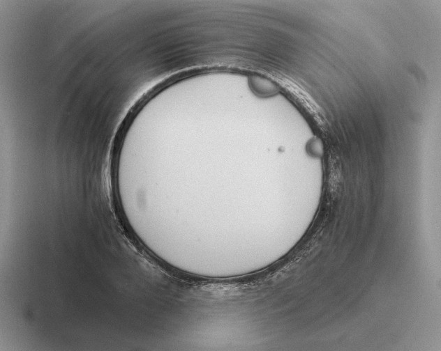 X0000116440888201001051202