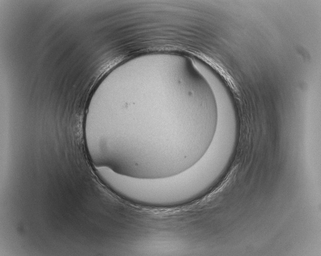 X0000116440889201001051202