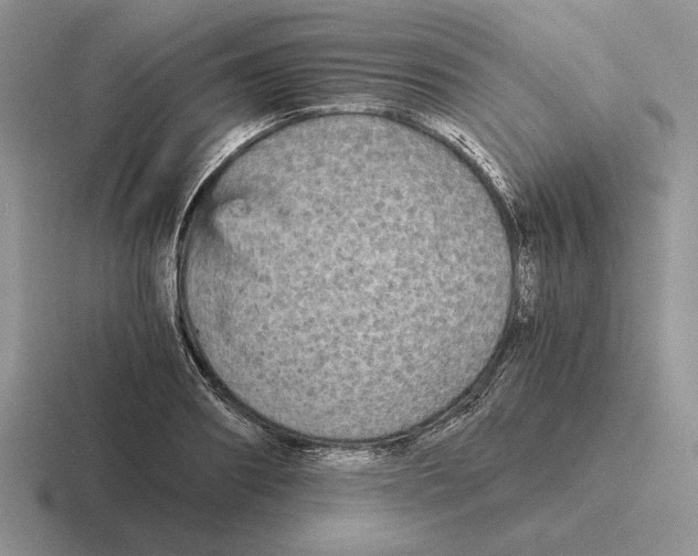 X0000116440890201001051202