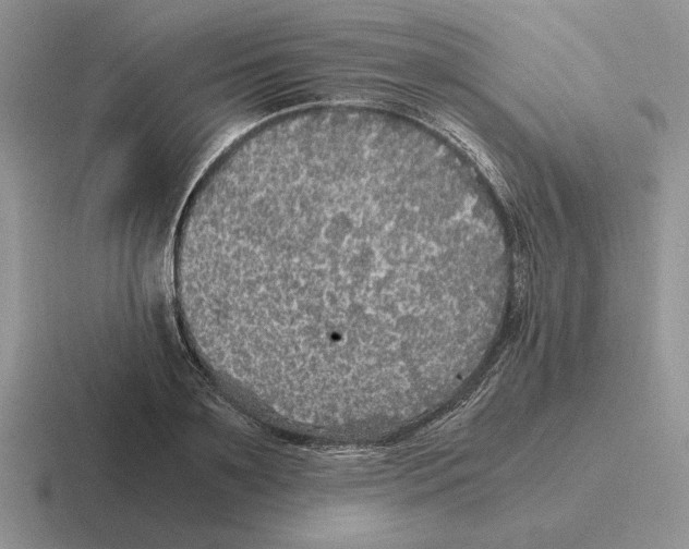 X0000116440891201001051202