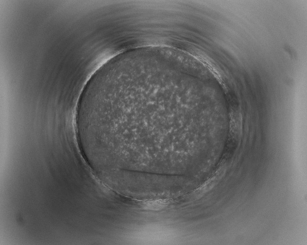 X0000116440893201001051202