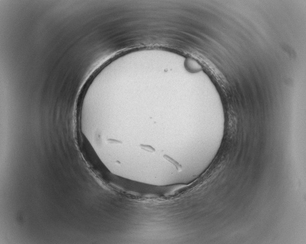 X0000116440894201001051202