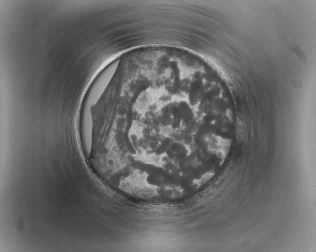 X0000116440895201001051202