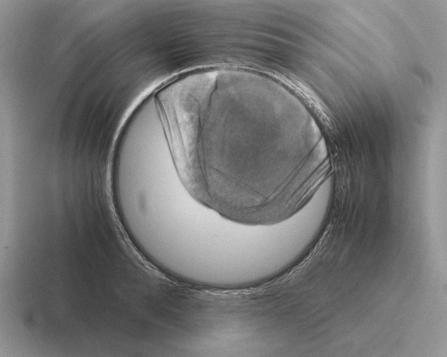 X0000116440896201001051202