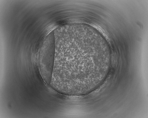 X0000116440897201001051202