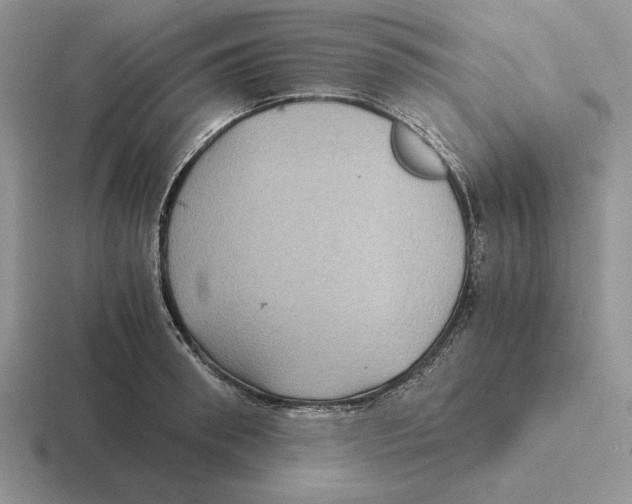 X0000116440898201001051202