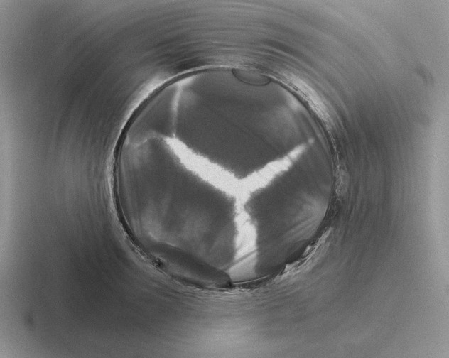 X0000116440899201001051202