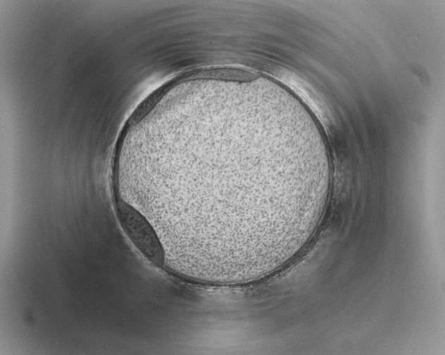 X0000116440901201001051202