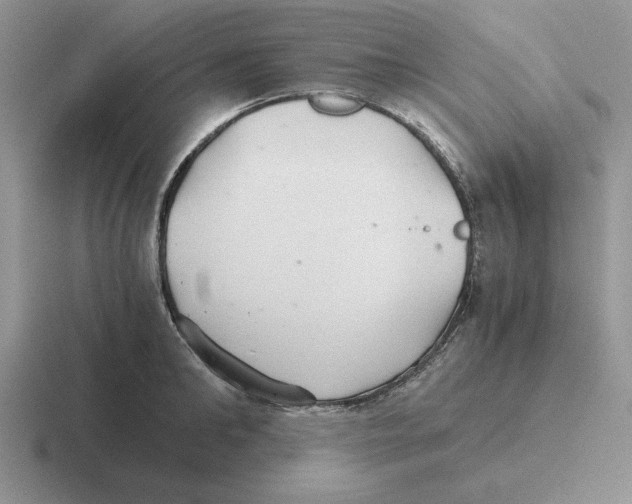 X0000116440902201001051202