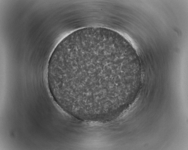 X0000116440903201001051202