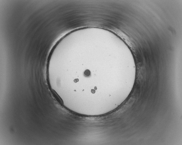 X0000116440904201001051202