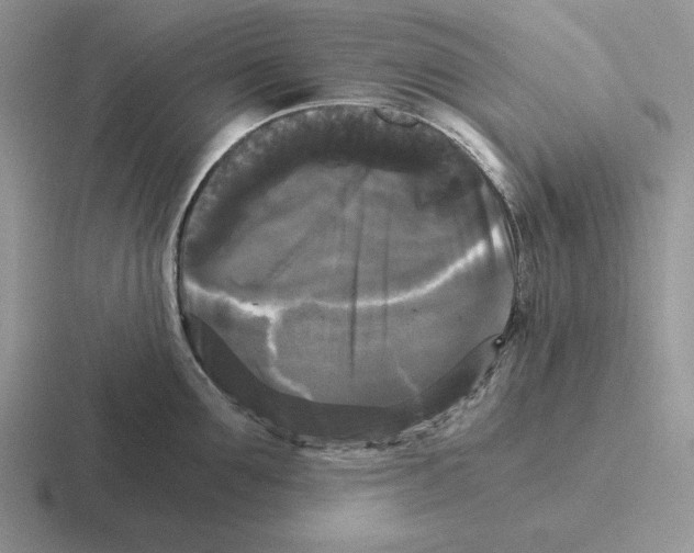 X0000116440907201001051202