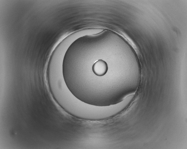 X0000116440909201001051202