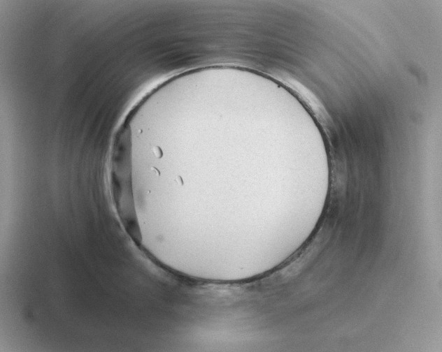 X0000116440910201001051202