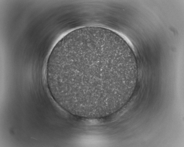 X0000116440911201001051202