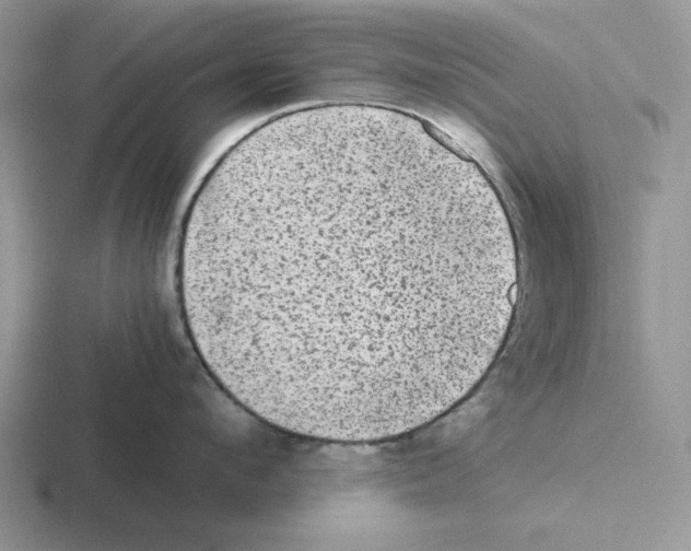 X0000116440912201001051202