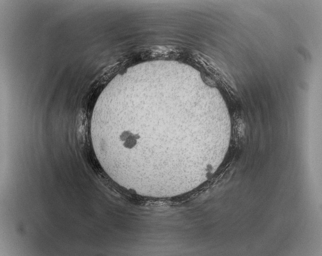 X0000116440914201001051202