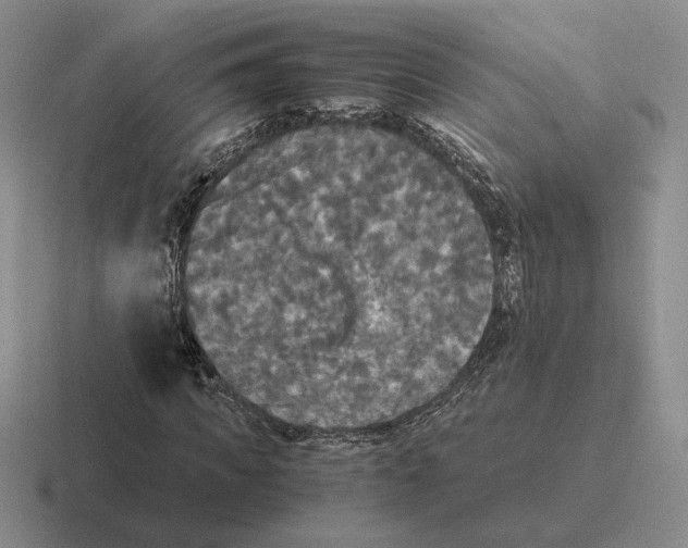 X0000116440917201001051202