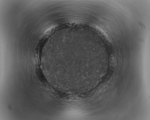 X0000116440918201001051202