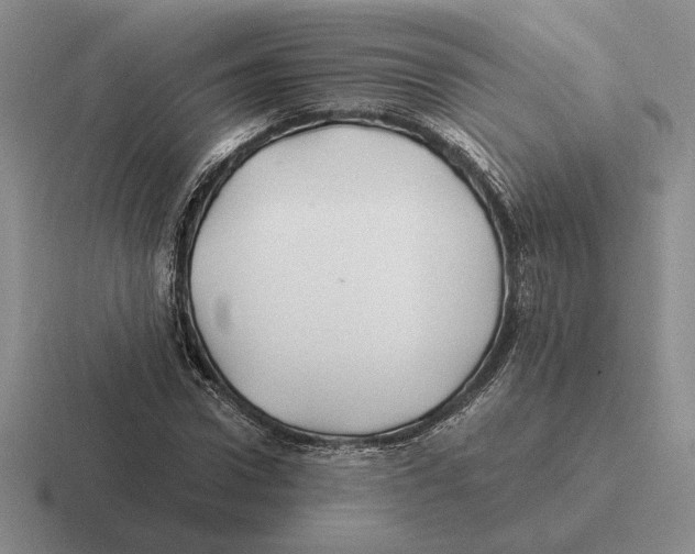 X0000116440922201001051202