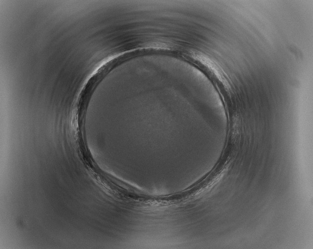 X0000116440923201001051202