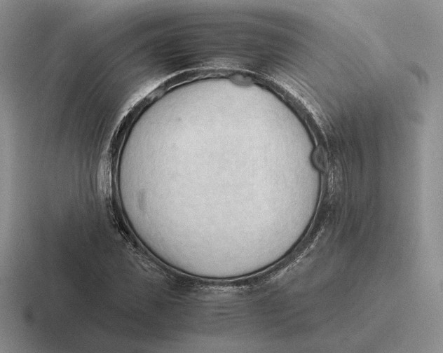 X0000116440925201001051202