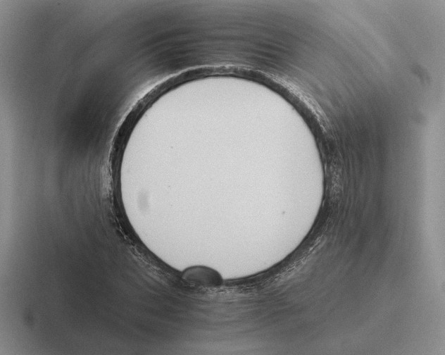 X0000116440927201001051202