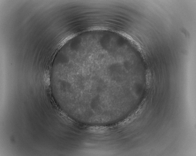 X0000116440929201001051202