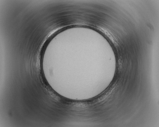 X0000116440931201001051202