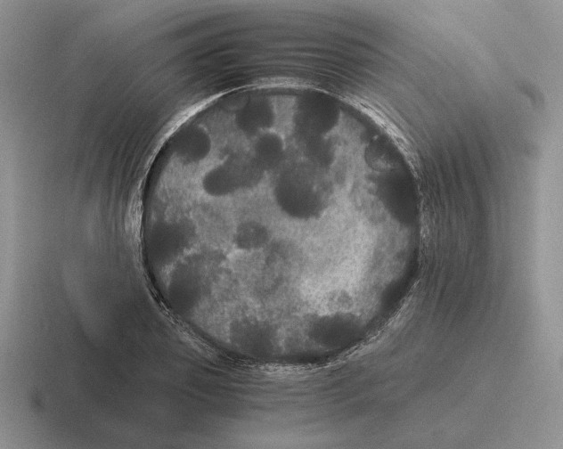 X0000116440933201001051202