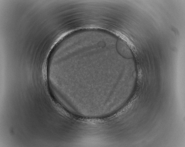 X0000116440934201001051202