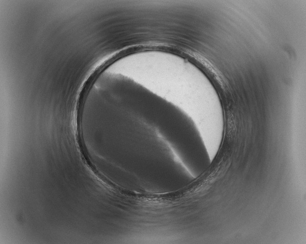 X0000116440935201001051202