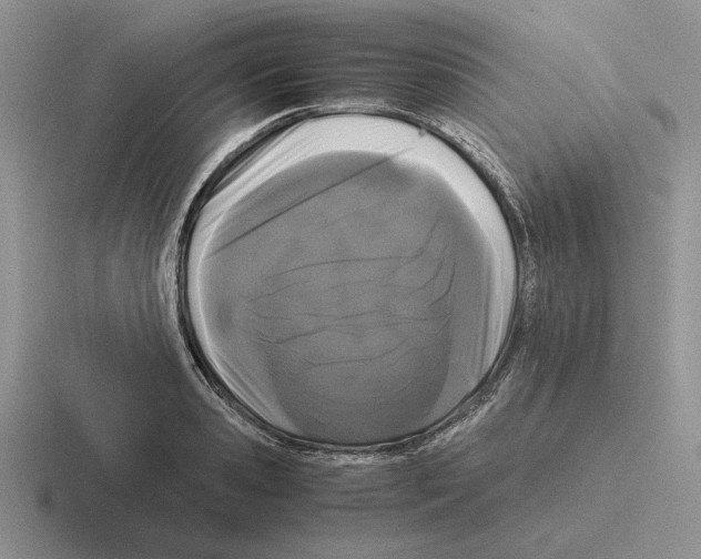 X0000116440941201001051202