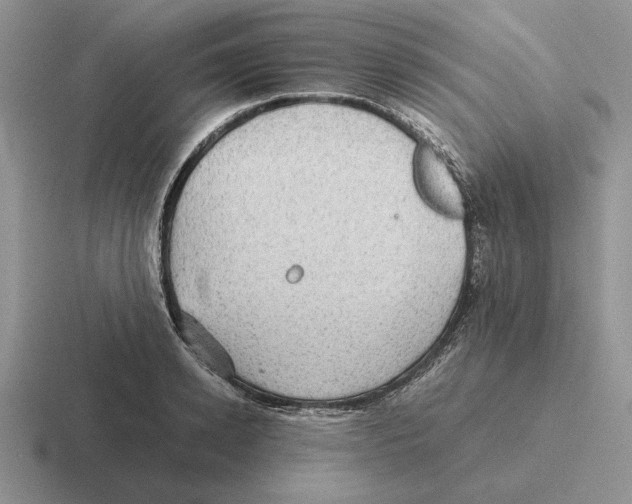 X0000116440942201001051202