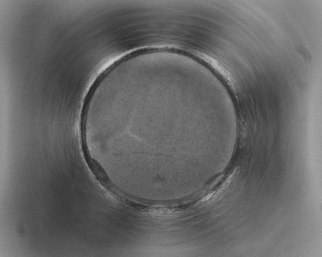 X0000116440943201001051202