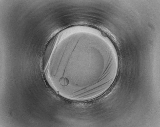 X0000116440945201001051202