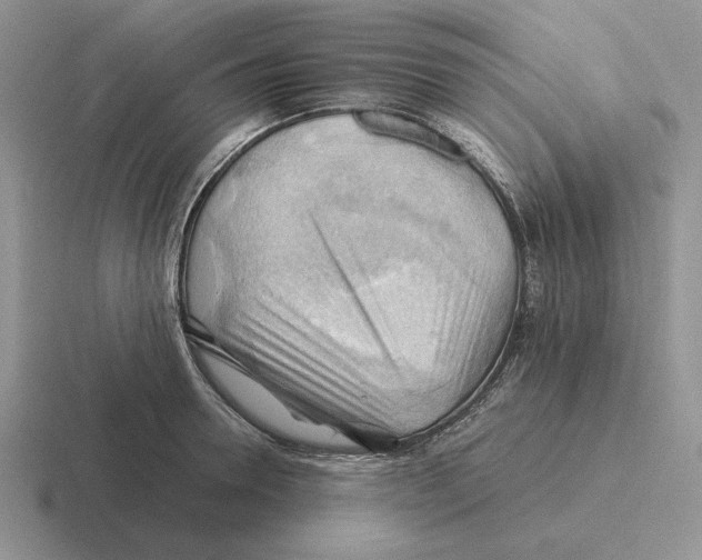 X0000116440946201001051202