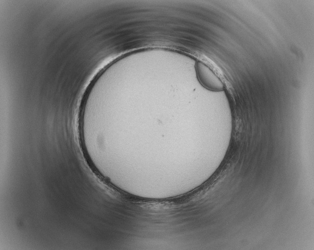 X0000116440947201001051202