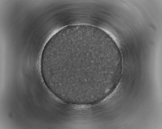 X0000116440949201001051202