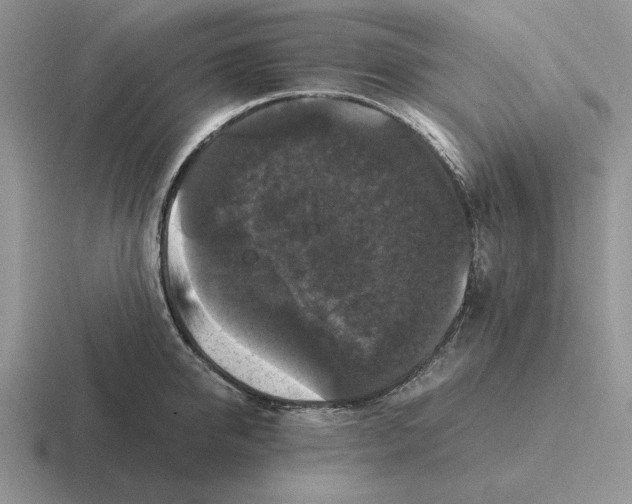 X0000116440950201001051202