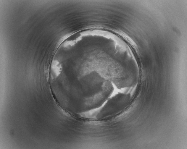 X0000116440953201001051202